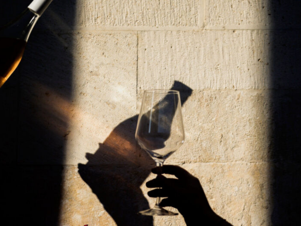 WINE GARDEN – Čarobni vrt i gastronomska stanica u srcu Zadra